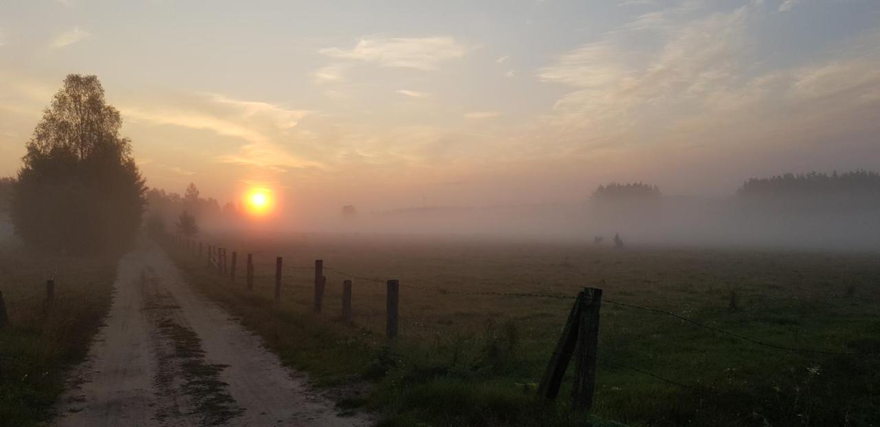 Zdalnie Z Lasu - Siedlisko W Puszczy Bialowieskiej Narewka エクステリア 写真