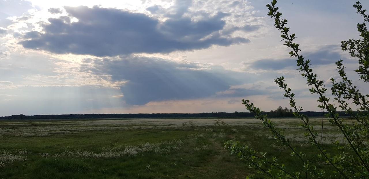 Zdalnie Z Lasu - Siedlisko W Puszczy Bialowieskiej Narewka エクステリア 写真